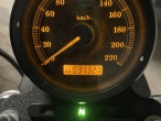 2006 Harley-Davidson XL883R