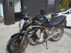 2006 Kawasaki ER-6n 2006 Kawasaki ER-6n