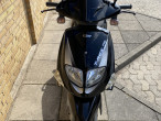 2006 PGO T-Rex 110