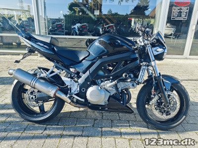 Suzuki SV 1000