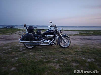 Suzuki VL 800 Intruder