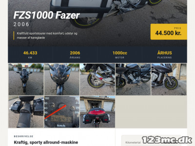 Yamaha FZS 1000 Fazer