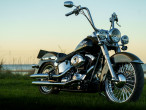 2007 Harley-Davidson FLSTN Softail Deluxe
