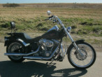 2007 Harley-Davidson FXSTI Softail Standard 2007 Harley-Davidson FXSTI Softail Standard