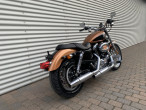 2007 Harley-Davidson XL1200 Custom