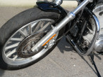 2007 Harley-Davidson XL883 Standard