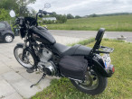 2007 Harley-Davidson XL883 Standard 2007 Harley-Davidson XL883 Standard