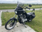 2007 Harley-Davidson XL883 Standard 2007 Harley-Davidson XL883 Standard