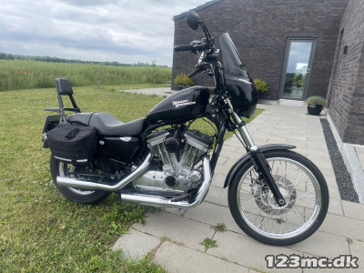 Harley-Davidson XL883 Standard Chopper