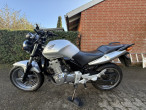 2007 Honda CBF 500 2007 Honda CBF 500