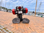 2007 Honda VFR 800 F 2007 Honda VFR 800 F