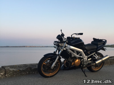 Suzuki SV 1000 Sport