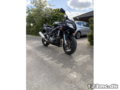 Suzuki SV 1000 S Sport /touting