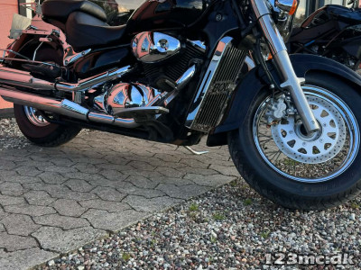 Suzuki VL 800 Intruder