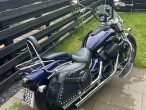 2007 Suzuki VZ 800 Intruder 2007 Suzuki VZ 800 Intruder