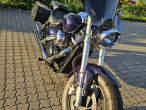 2007 Suzuki VZ 800 Intruder 2007 Suzuki VZ 800 Intruder