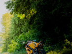 2007 Triumph Daytona 675 2007 Triumph Daytona 675