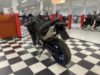2008 Aprilia Pegaso 650