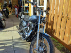 2008 Harley-Davidson XL1200 Custom