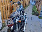 2008 Harley-Davidson XL1200 Custom