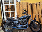 2008 Harley-Davidson XL1200 Custom