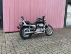 2008 Harley-Davidson XL883 Standard