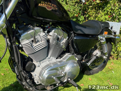 Harley-Davidson XL883C Sportster
