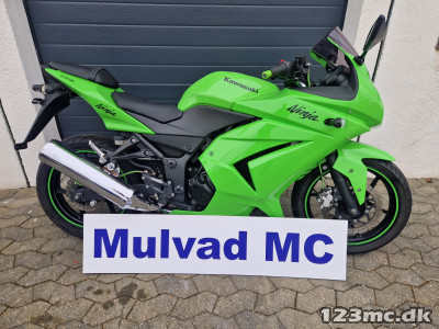 Kawasaki Ninja 250 R