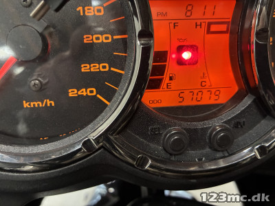 Suzuki DL 1000 V-Strom