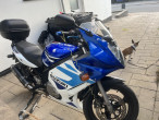 2008 Suzuki GS 500 F