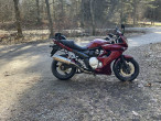 2008 Suzuki GSF 1250 Bandit 2008 Suzuki GSF 1250 Bandit