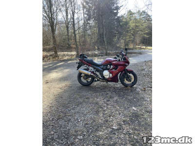 Suzuki GSF 1250 Bandit Suzuki GSF 1250 Bandit