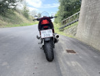 2008 Suzuki GSF 1250 S Bandit 2008 Suzuki GSF 1250 S Bandit