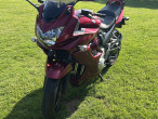 2008 Suzuki GSF 650 S Bandit