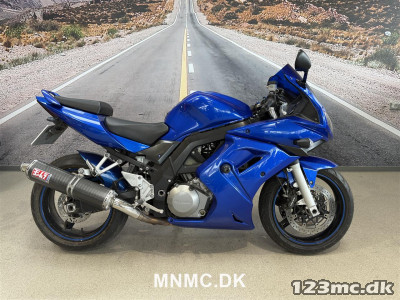 Suzuki SV 1000 S