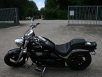 Suzuki VZ 800 Intruder