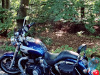 2008 Triumph Speedmaster