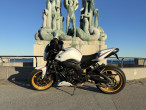 2008 Yamaha FZ1