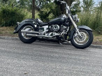 2008 Yamaha XVS 650 Drag Star Classic 2008 Yamaha XVS 650 Drag Star Classic