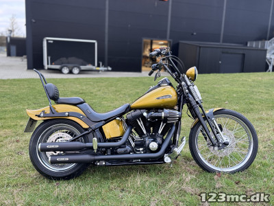 Harley-Davidson FLSTSB Softail Cross Bones