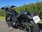 2009 Harley-Davidson FXDB Street Bob