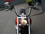 2009 Harley-Davidson FXSTC Softail Custom 2009 Harley-Davidson FXSTC Softail Custom
