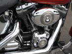 2009 Harley-Davidson FXSTC Softail Custom 2009 Harley-Davidson FXSTC Softail Custom