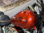 2009 Harley-Davidson FXSTC Softail Custom
