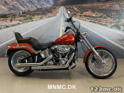 Harley-Davidson FXSTC Softail Custom