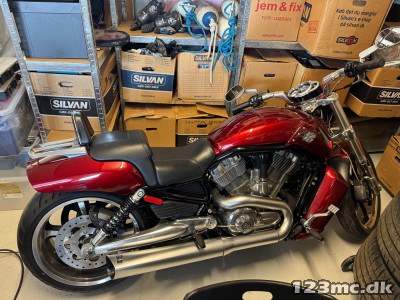 Harley-Davidson VRSCF V-Rod Muscle