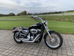 2009 Harley-Davidson XL1200L Sportster Low