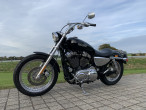 2009 Harley-Davidson XL1200L Sportster Low