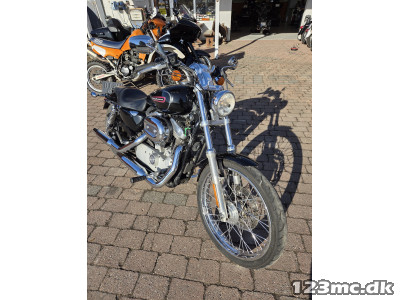 Harley-Davidson XL883C Sportster Custom