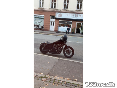 Harley-Davidson XL883N Iron 883